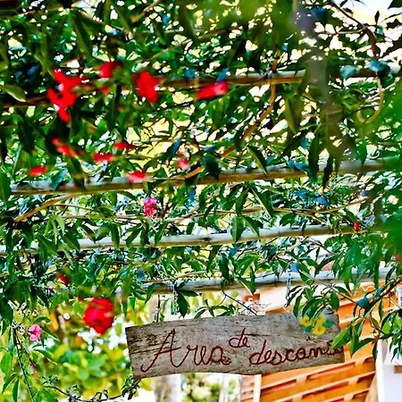 Casa Bossa Nova Guesthouse-2